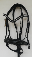   *lakkbrs, svd orrszjas kantr