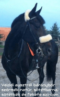   *Tattini gyapj orr- s tarkszjra