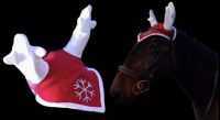   *karcsonyi flvd (shetland mrettl!)