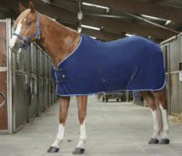   *Riding world polr ltakar