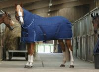   *Riding world 300gr ltakar